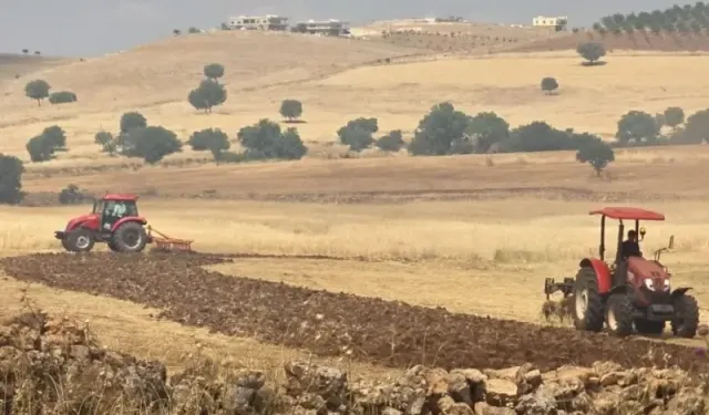 Çınar'da Anız ve Örtü Yangını: Ekiplerin Müdahalesiyle Kontrol Altına Alındı
