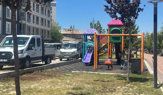 Van'da Çocuklar Trafiğin Kıyısında Oynuyor