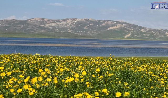 2 bin yıllık Keşiş Gölü'nde yağmur sonrası görsel şölen