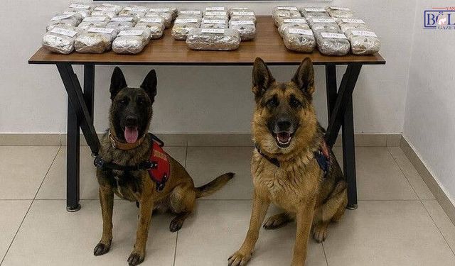 Hakkari'de 21 Kilo Esrar Ele Geçirildi: 2 Gözaltı
