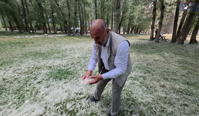 Van'da bu kez kar değil polen yağdı
