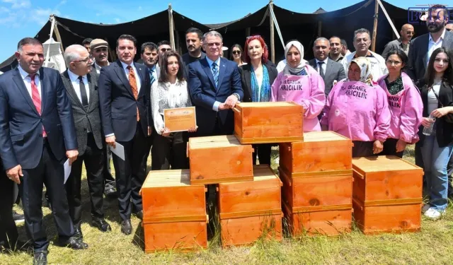 Van'da 150 Çiftçiye Arılı Kovan Desteği: 29 Milyon TL'lik Proje ile Arıcılık Teşvik Ediliyor