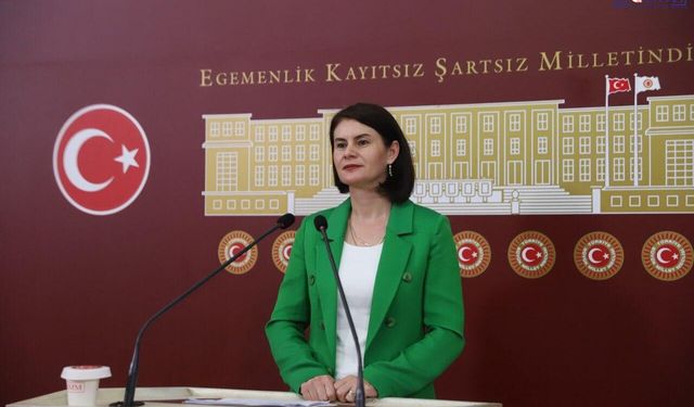 DEM Parti Van Milletvekili Sayyiğit: Van'ın Sorunlarını Meclise Taşıdı