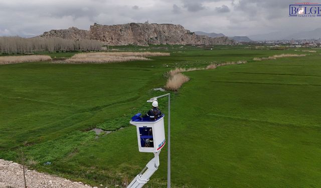 VEDAŞ’tan Van ve Bölge İllerinde Bakım-Onarım Çalışmaları