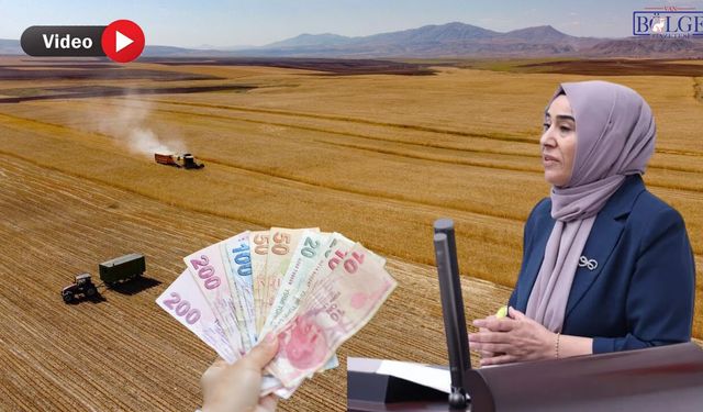 Vanlı Vekilden Arazi Satışlarına Tepki: Çiftçileri Uyardı!