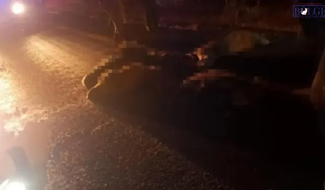 Koyun Sürüsüne Daldı! Ortalık Can Pazarına Döndü!