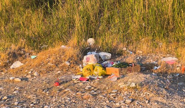 Mavi Bayraklı Sahilde Kara Manzara! Van Gölü Kıyısı Çöp Alarmı Veriyor