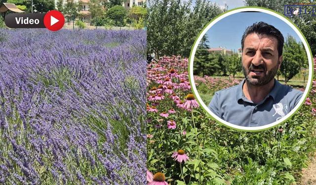 Van’da 20 Dönümlük Doğa Mucizesi! 300 Tür Bitki Koruma Altında