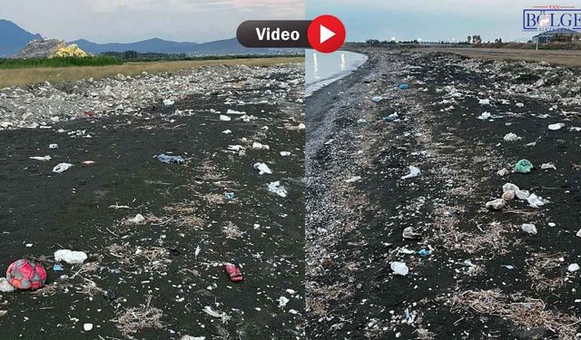 Van Gölü Sahilini Görenler Kaçtı!
