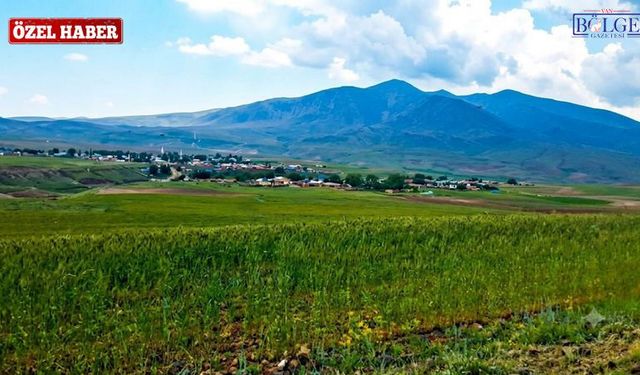 Van Başkale'de Köylüler İsyanda: "Meralarımıza Giremiyoruz"