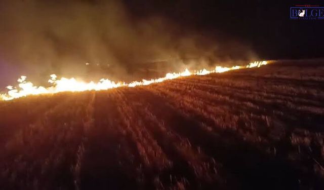 Van'da Korkutan Arazi Yangını! 5 Dönümlük Alan Küle Döndü