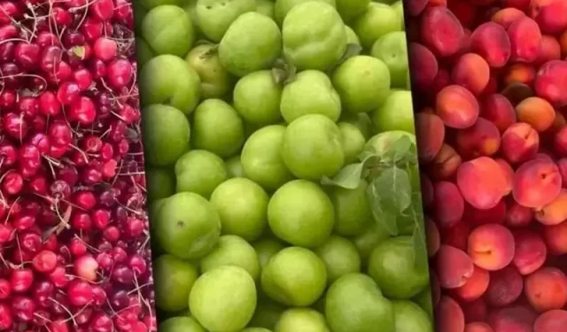 Rusya’dan Türkiye’ye Meyve Freni! 5 İhracatçı Firmaya Kısıtlama Kararı