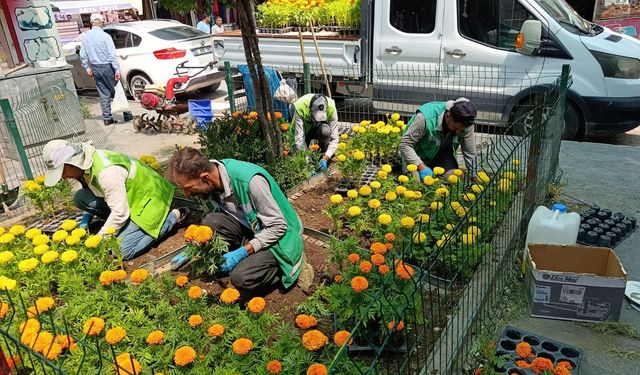 İpekyolu Renk Değiştiriyor! Sokaklar Çiçeklerle Yeniden Hayat Buluyor