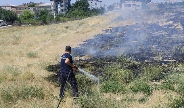 Van'da Korkutan Anız Yangını!
