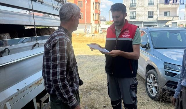 Hayvan Taşımacılığına Sıkı Denetim!