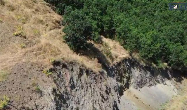 Nesli Tehlike Altındaki Dağ Keçisi Bingöl’de Ortaya Çıktı! Havadan Görüntülendi