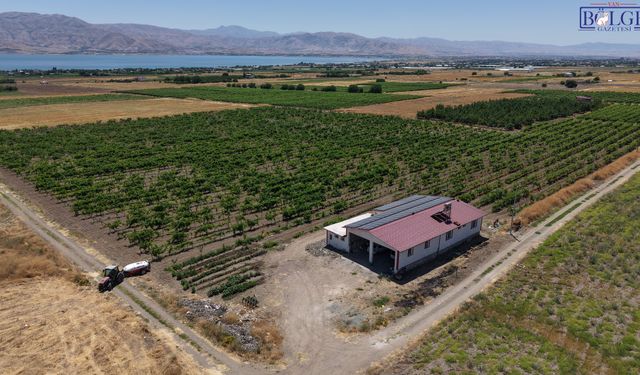 13 yıl gurbetten sonra memleketine döndü: 300 dönümde üzüm üretimine başladı