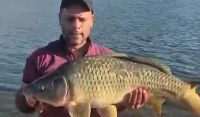 Keban Baraj Gölü’nde dev sazan şaşkınlığı! Tam 10 kilo