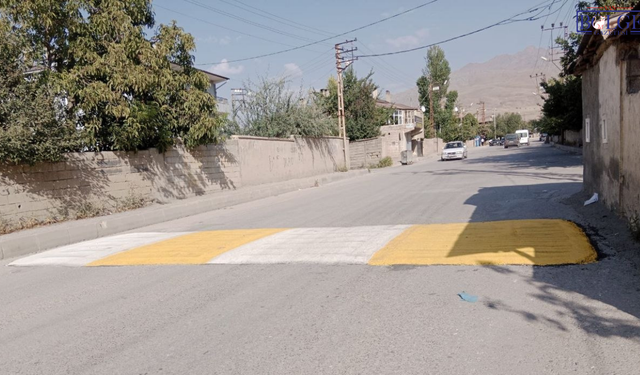 Van’da mahallelinin isyanı sonuç verdi: Tümsek yapıldı