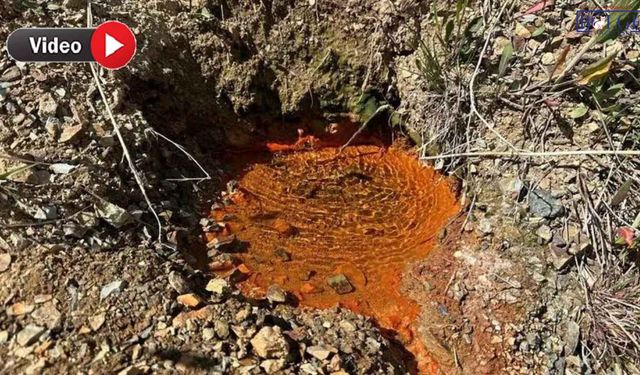 Van’ın Şifalı Suyu İlgi Bekliyor: Faruk Suyu İçin Düzenleme Çağrısı