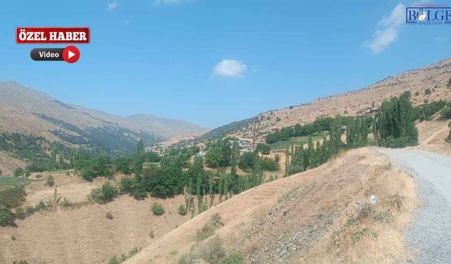 Van’da Siyasi Nedenlerle Tüm Köy Halkı Kaderine Terk Edildi İddiası