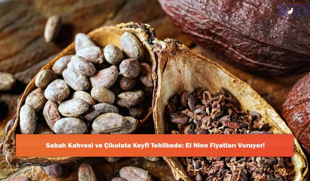 Sabah Kahvesi ve Çikolata Keyfi Tehlikede: El Nino Fiyatları Vuruyor!