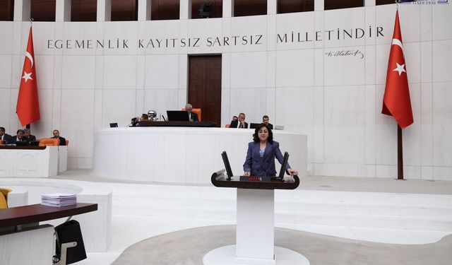DEM Partili Öznur Bartin, Hakkâri’deki Maden Faaliyetlerini TBMM Gündemine Taşıdı