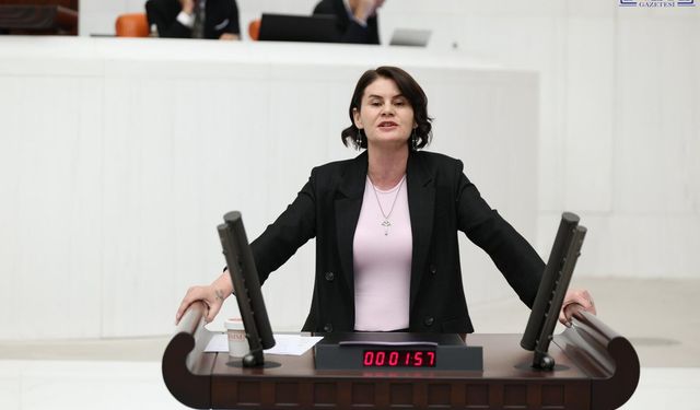 Van Gölü İçin TBMM'de Kritik Çağrı! "Başka Bir Van Gölü Yok" Diyerek Yasa İstedi