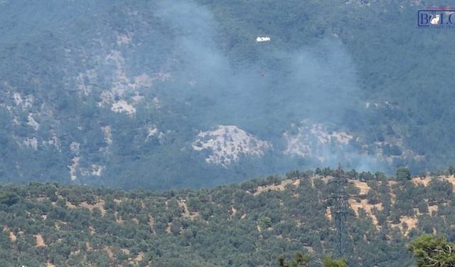 Kazdağı Milli Parkı’na sıçrayan yangına havadan ve karadan müdahale