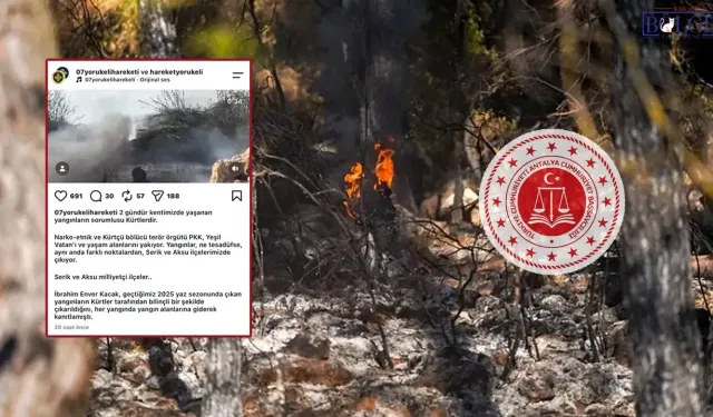 Orman yangını sonrası Kürtleri hedef gösteren paylaşıma soruşturma