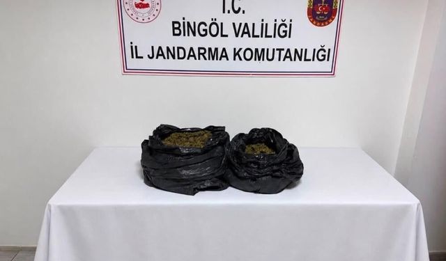 Bingöl’de 19 bin kök kenevir ele geçirildi