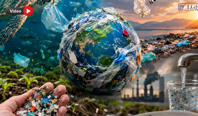Plastik Doğada Yok Olmuyor, Bize Geri Dönüyor!