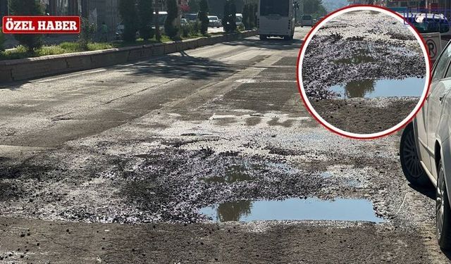 Van Erciş’in Yolları Alarm Veriyor: Çukurdan Çık, Sanayiye Gir!