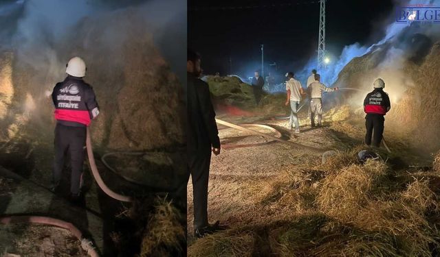 Van’da korkutan yangın! 2 bin bağ ot küle döndü