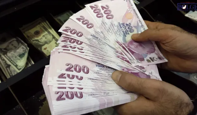 Maaş Alanlar Dikkat: E-Devlet’te Bu Kontrolü Yapmadan Geçmeyin!