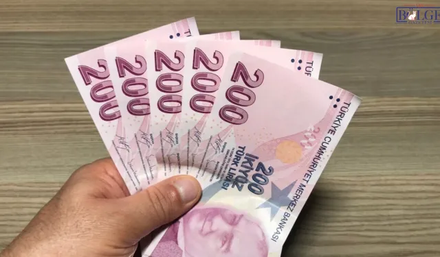 Emekliler İçin Yeni Destek Dönemi: Farklı Başlıklarla Yeni İmkanlar Geliyor!