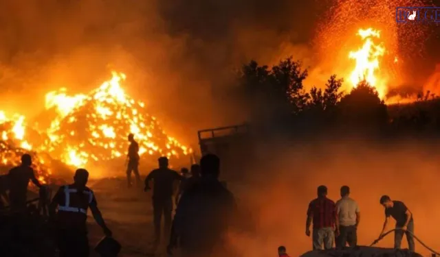 3 kentte orman yangını! Yüzlerce ev tahliye edildi