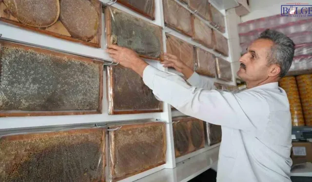 Muş Ovası’nda bal bereketi: 700 ton üretim