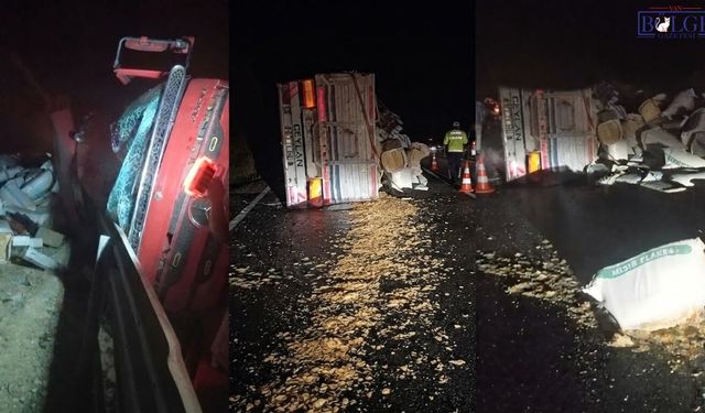 Van yolunda kaza: Yük dolu TIR devrildi, şoför yaralandı