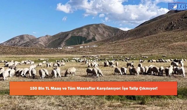 150 Bin TL Maaş ve Tüm Masraflar Karşılanıyor: İşe Talip Çıkmıyor!