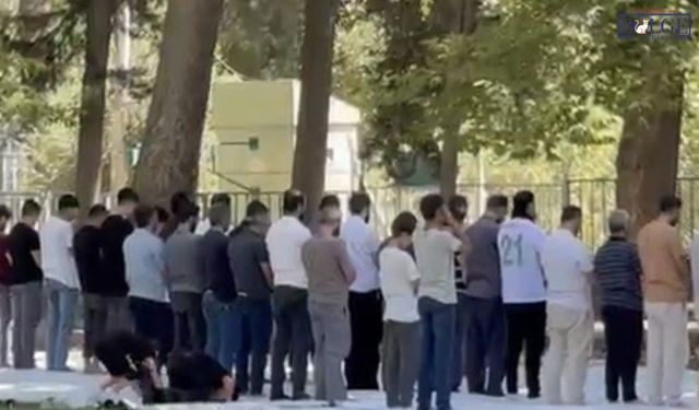 Nusaybin’de piknik molasında dikkat çeken görüntü