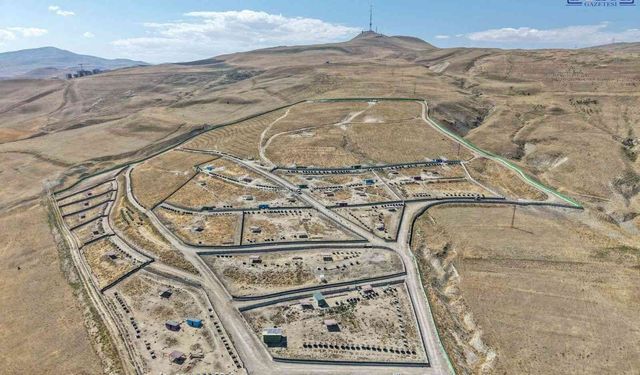Van’da Sokak Hayvanları İçin Yeni Yaşam Alanları! 3 İlçede Çalışma Başlatıldı