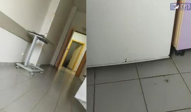 Van’da Hastanede Ortaya Çıkan Görüntü Şaşırttı