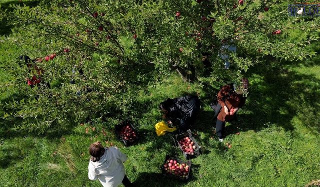 Tuşba’da kadın dayanışması üretime dönüştü