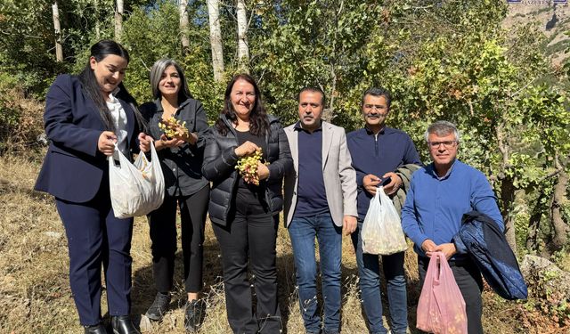 Van'da komünal üretimin ilk meyvesi alındı