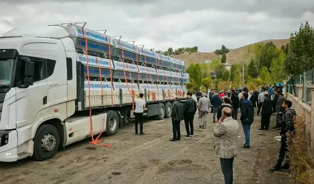 Van’da 5 bin sıvat desteği: 13 ilçede hayvancılara ulaştırılacak