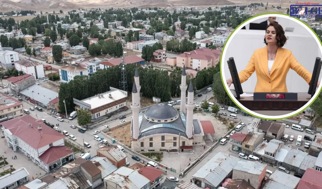 Van Çaldıran’da Doğalgaz Sorunu Meclis Gündeminde