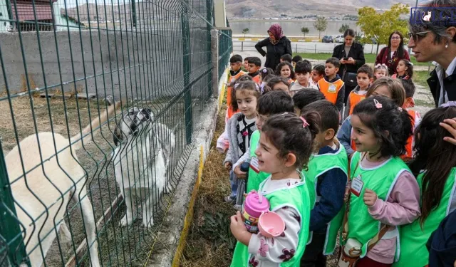 Van’da minik öğrenciler sokak hayvanlarıyla buluştu