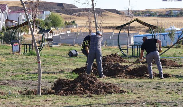 Tuşba Belediyesi’nden Mavi Bayraklı Halk Plajı’nda ağaçlandırma çalışması