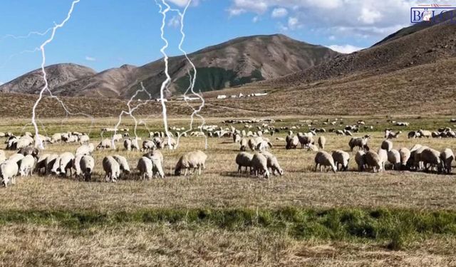 Van’da hayvan otlatırken yıldırım çarpan 14 yaşındaki çocuk hayatını kaybetti